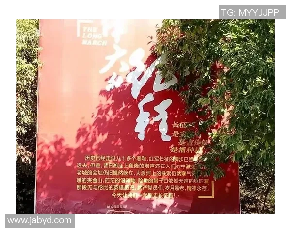 深入分析上海攀岩队整体压制战术的成功之道与实践应用